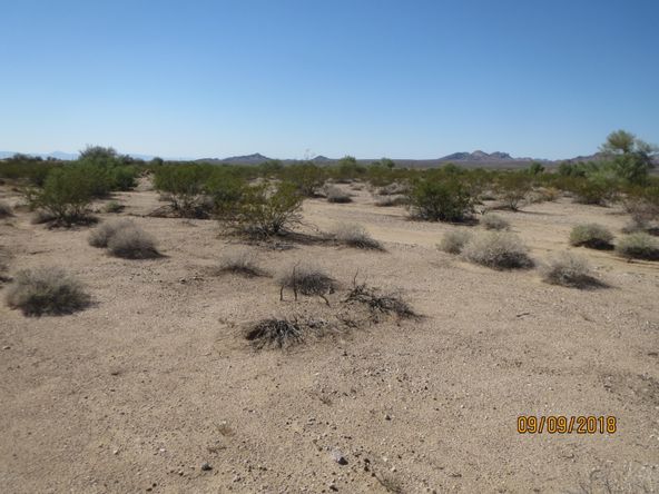 Lot 36A& Douglas Ln: Douglas Ln, Yucca, AZ 86438